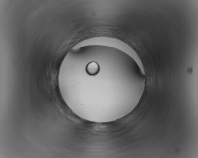 X0000113210332200910081323