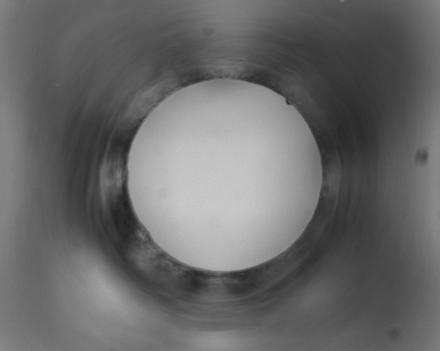 X0000113210334200910081323