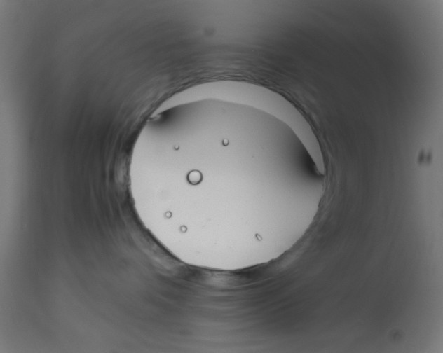 X0000113210336200910081323