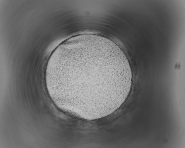 X0000113210337200910081322