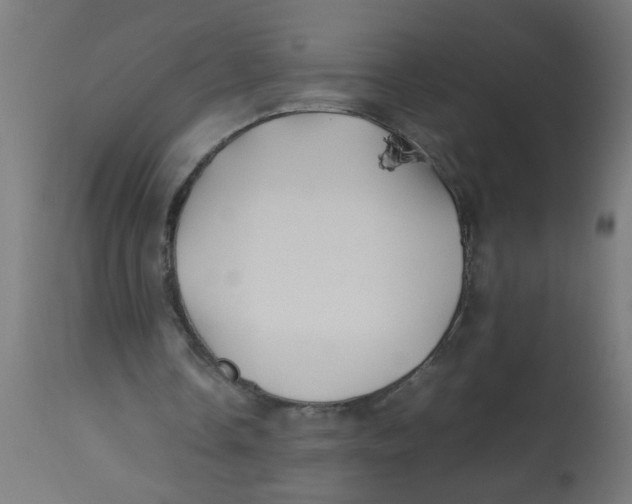 X0000113210338200910081322