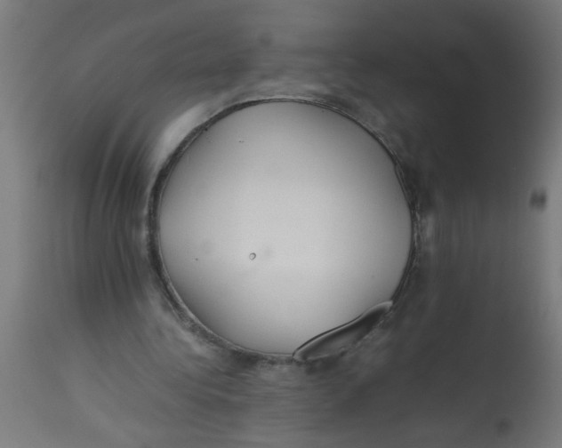 X0000113210340200910081322