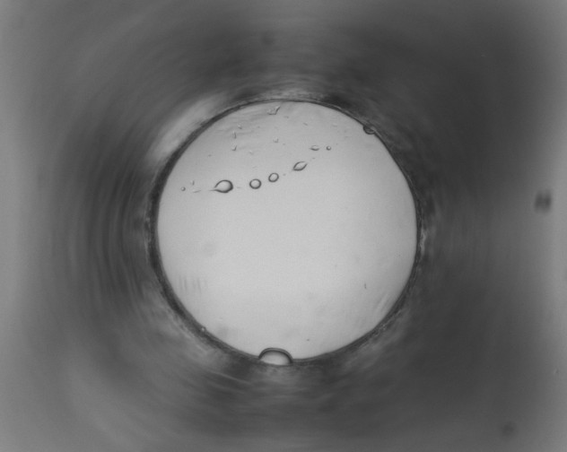 X0000113210341200910081322