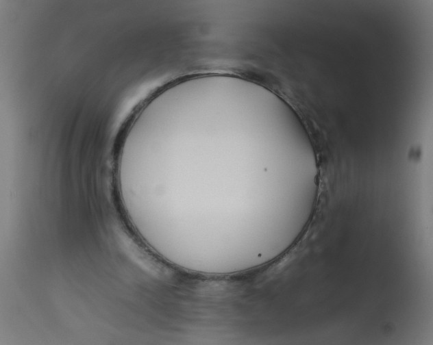 X0000113210342200910081323