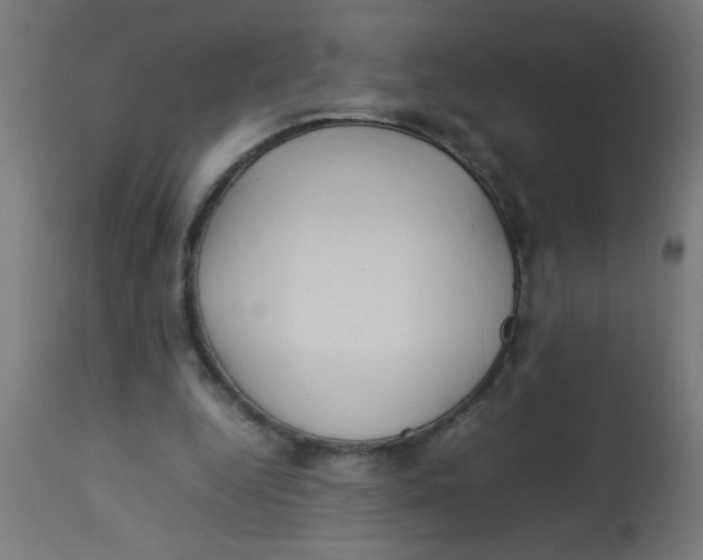 X0000113210344200910081323