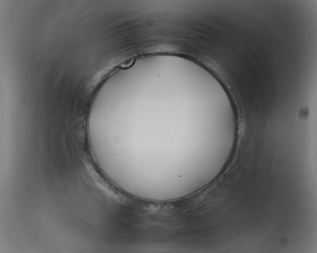 X0000113210345200910081323