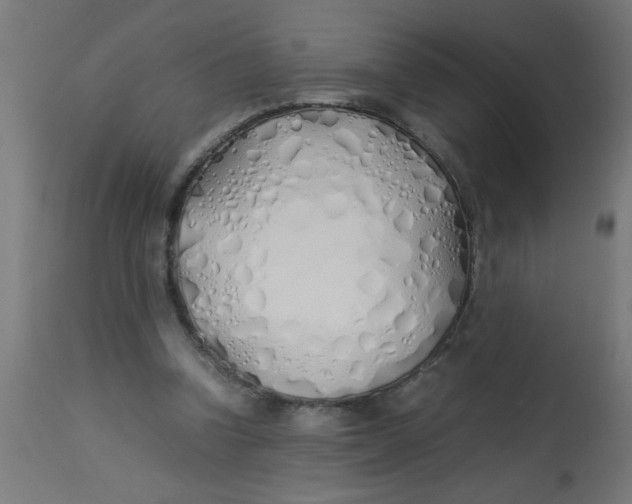 X0000113210346200910081323