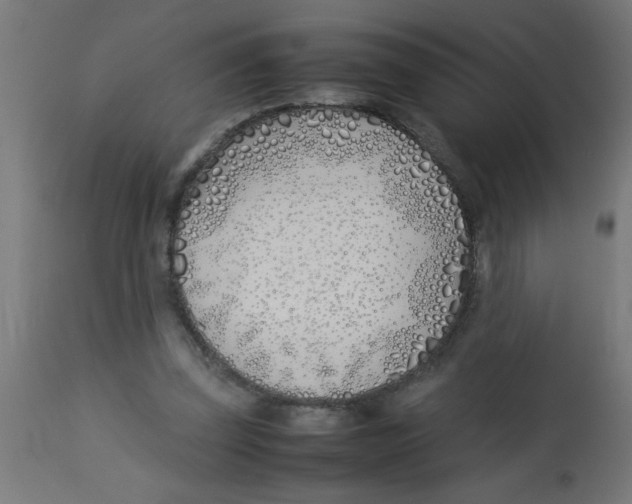 X0000113210347200910081323