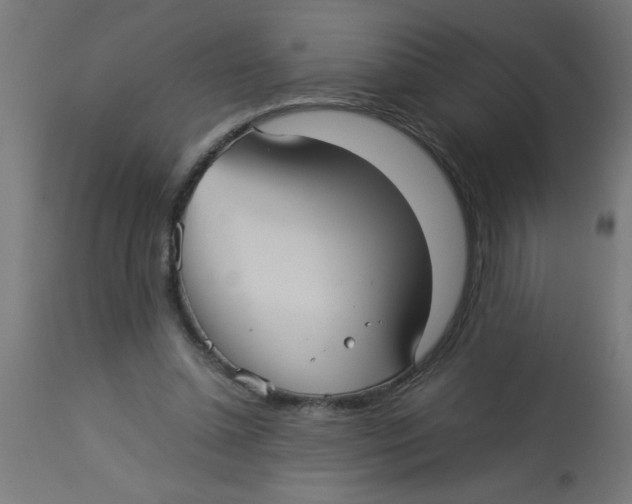 X0000113210348200910081323