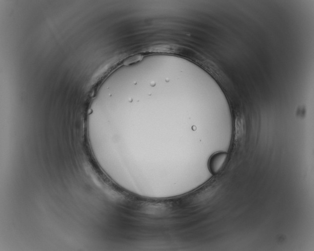 X0000113210349200910081323