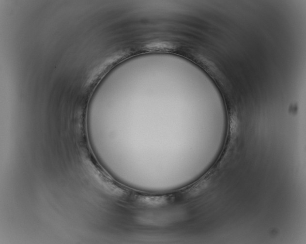 X0000113210353200910081323