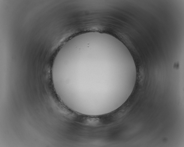 X0000113210355200910081323