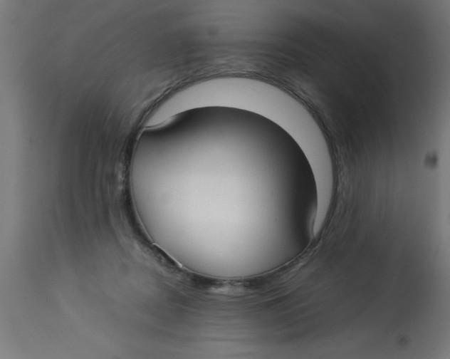 X0000113210362200910081323