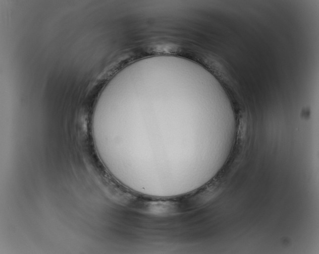 X0000113210363200910081323