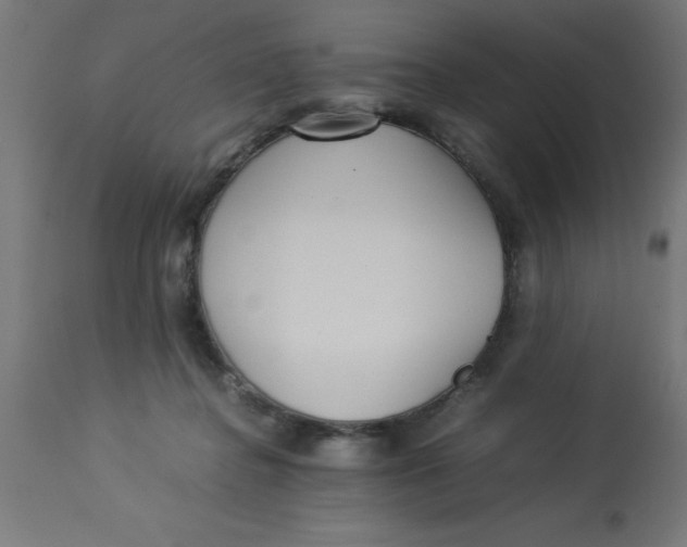 X0000113210364200910081323