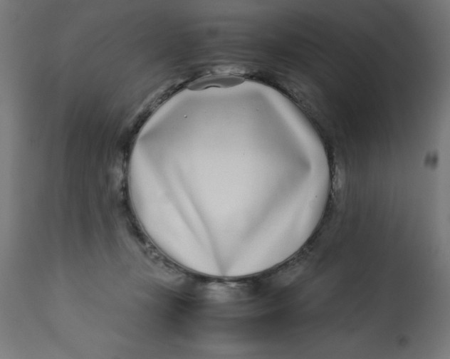 X0000113210367200910081323