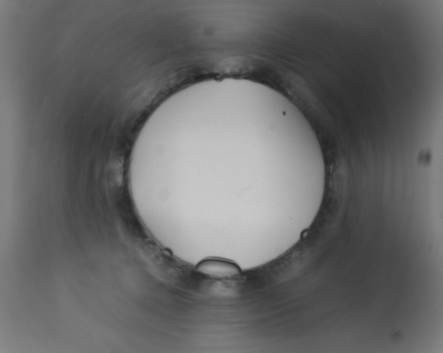 X0000113210368200910081323