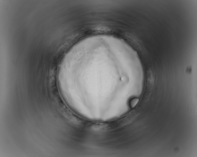 X0000113210369200910081323