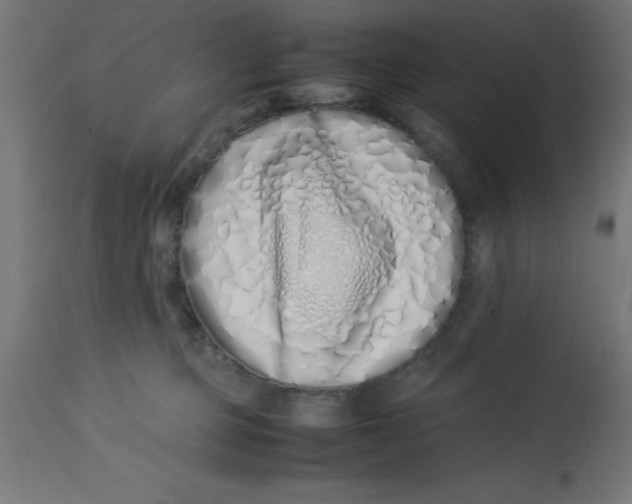 X0000113210373200910081323