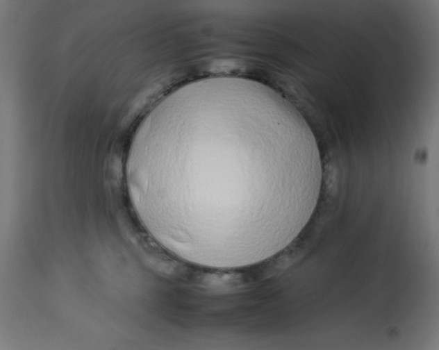 X0000113210375200910081323