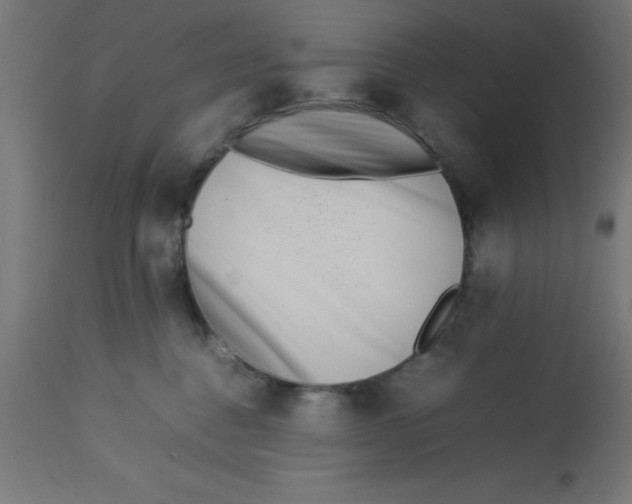 X0000113210376200910081323