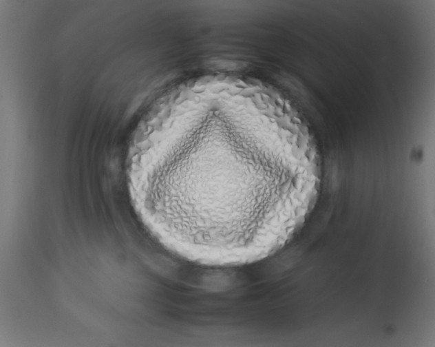 X0000113210377200910081323