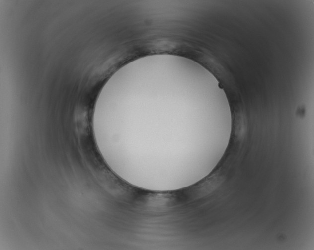 X0000113210378200910081323