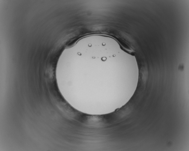 X0000113210380200910081323