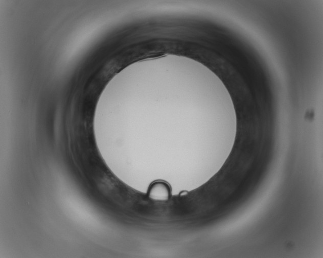 X0000113210382200910081323