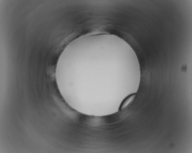 X0000113210383200910081323