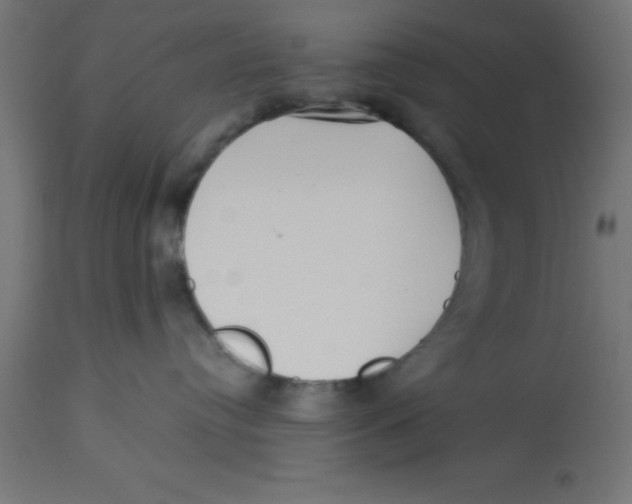 X0000113210384200910081323