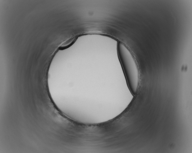 X0000113210385200910081322