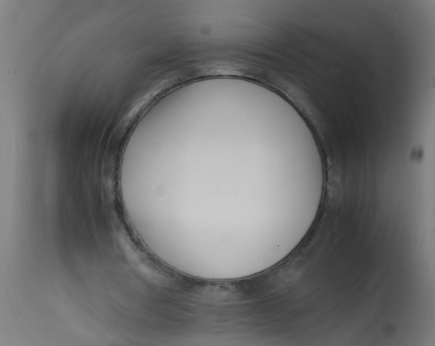 X0000113210386200910081322