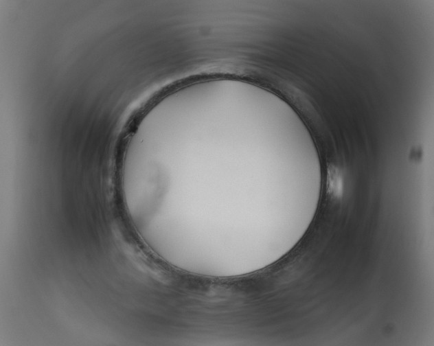 X0000113210388200910081322