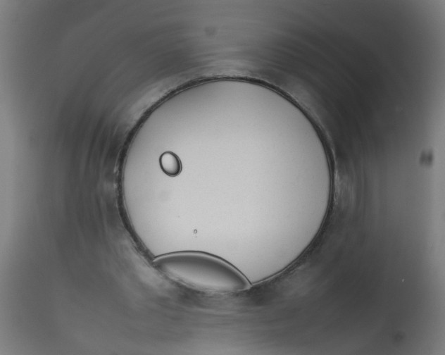 X0000113210389200910081322