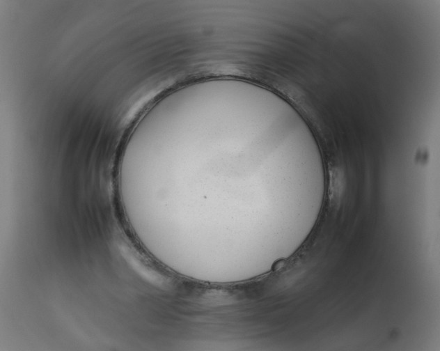 X0000113210390200910081322