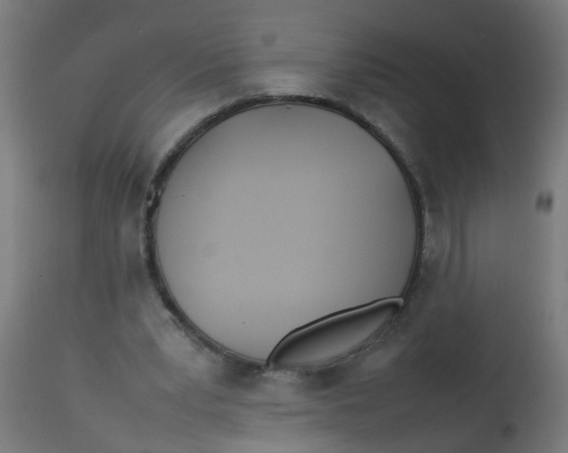 X0000113210391200910081322