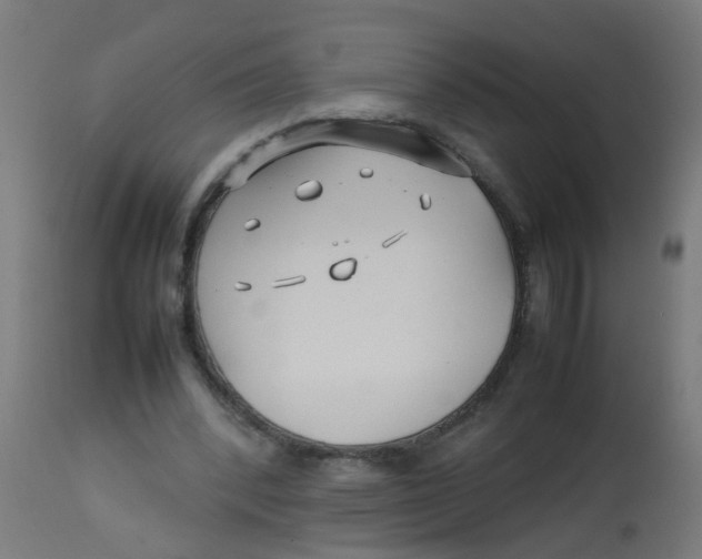 X0000113210392200910081322