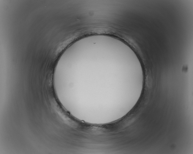 X0000113210393200910081322