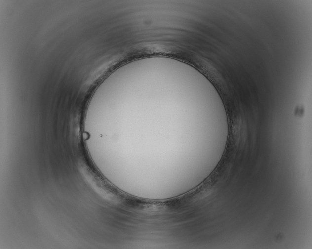 X0000113210398200910081322