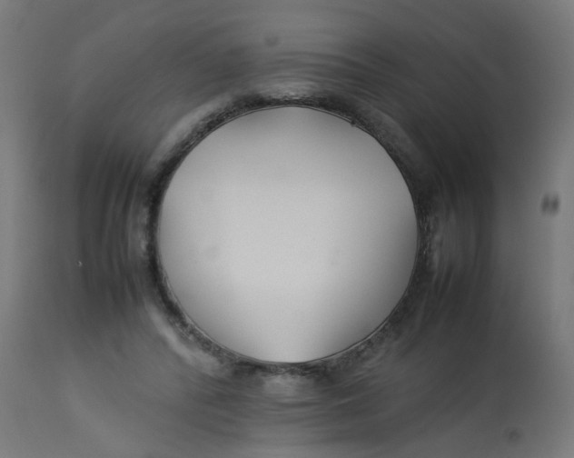 X0000113210400200910081322