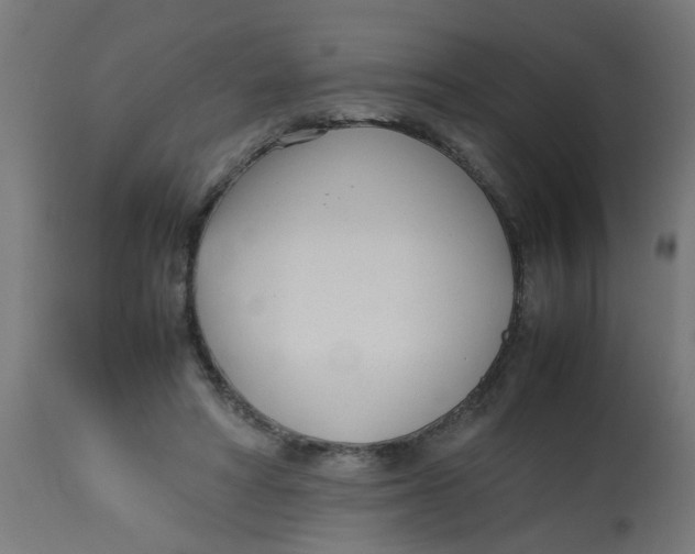 X0000113210402200910081322