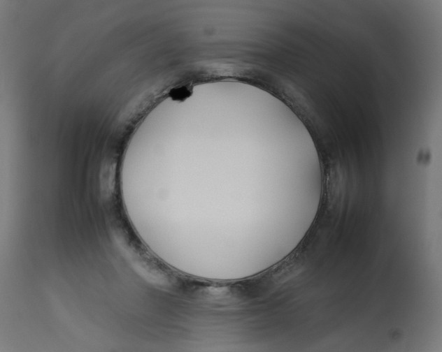 X0000113210406200910081322