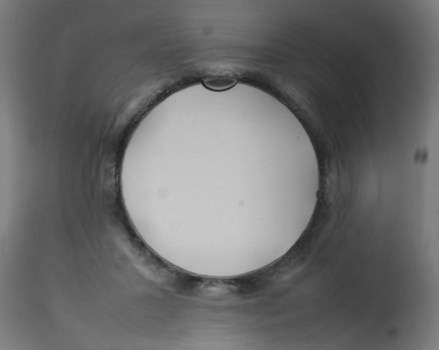 X0000113210407200910081322