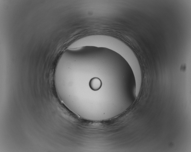 X0000113210409200910081322