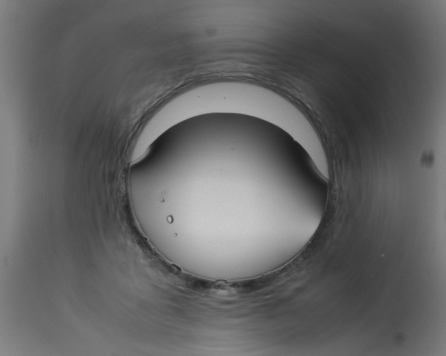 X0000113210411200910081322