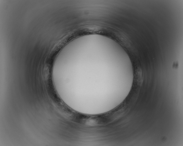 X0000113210412200910081322