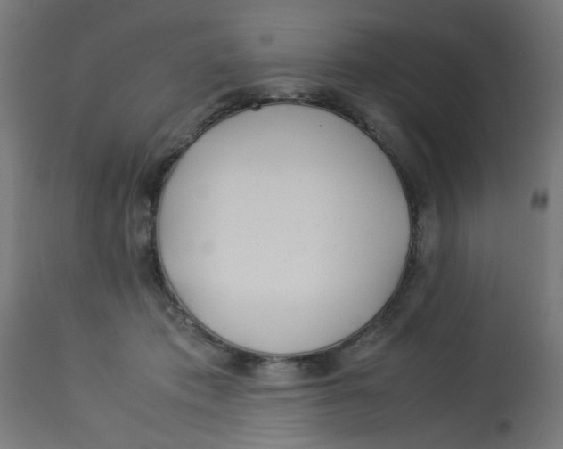 X0000113210413200910081322