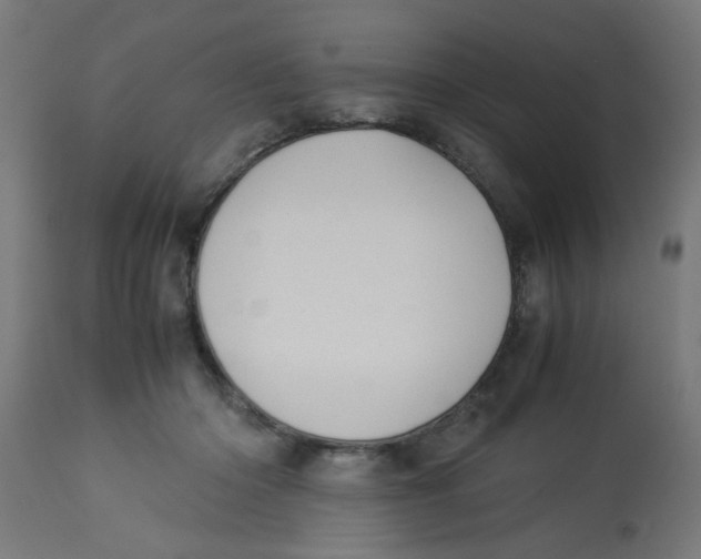 X0000113210414200910081322