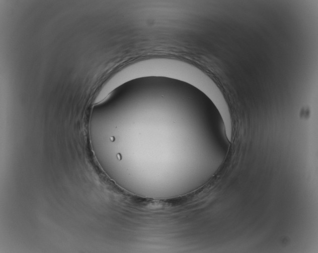 X0000113210415200910081322